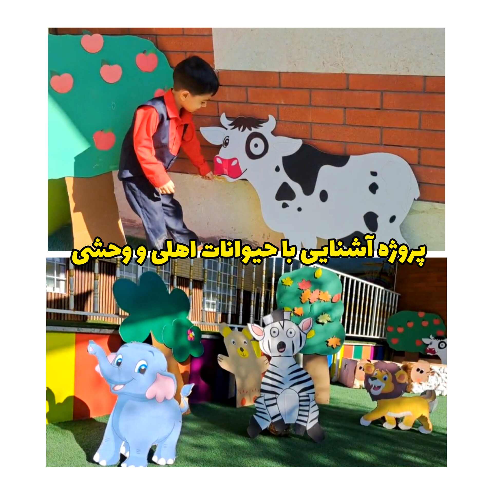 این پروژه با هدف آشنایی بیشتر کودکان با انواع حیوانات اهلی و وحشی نمایش گذاشته شد