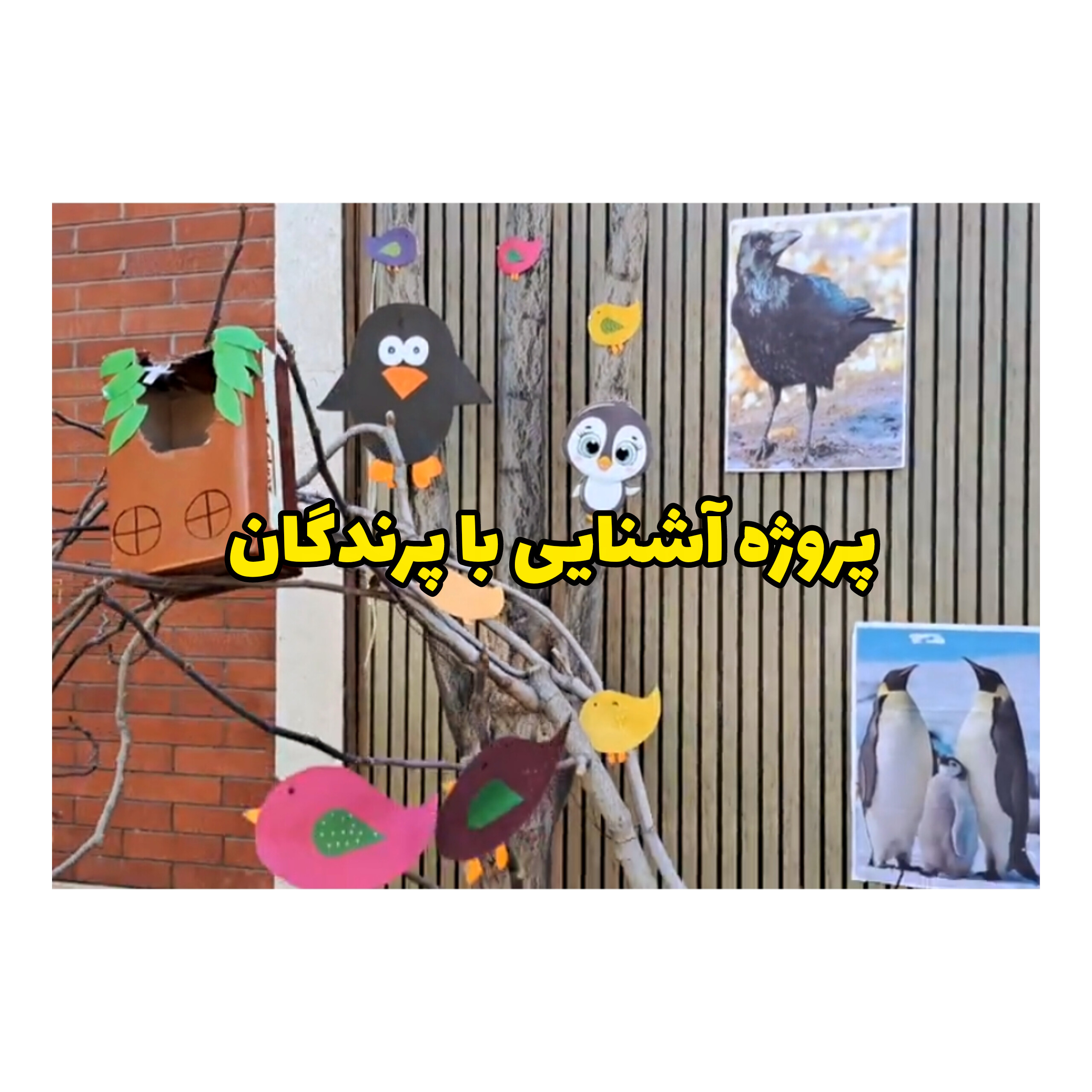 این پروژه با هدف شناخت انواع پرندگان و ویژگی های آنها چیدمان شده است